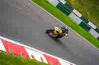 Yellow Bikes